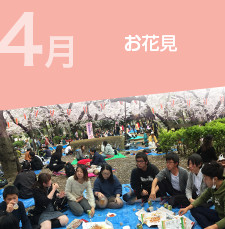 4月お花見
